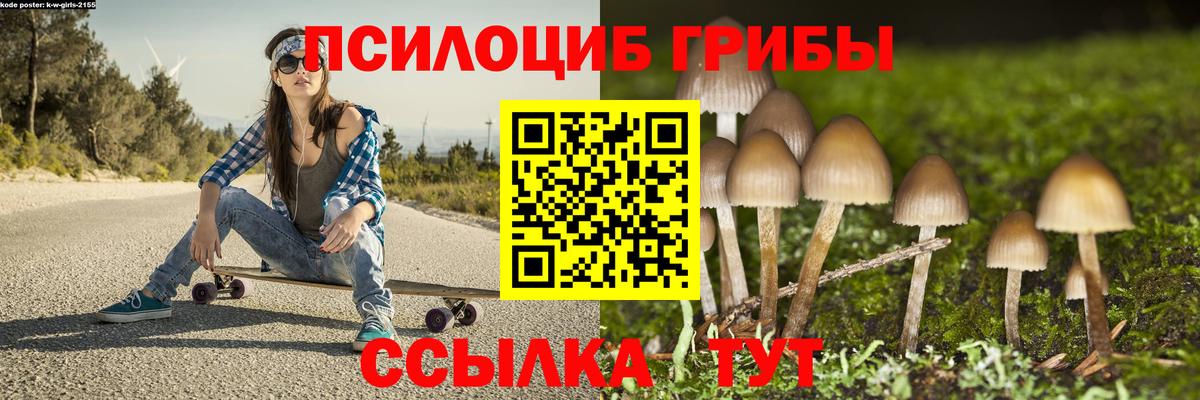 Псилоцибиновые грибы Psilocybe Архангельск
