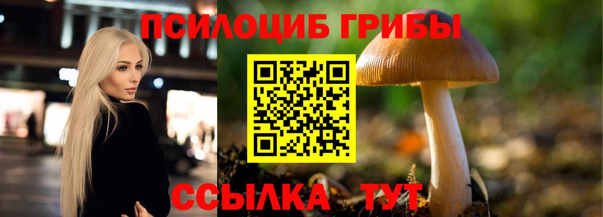 Архангельск  Псилоцибиновые грибы GOLDEN TEACHER  Вход с VPN 